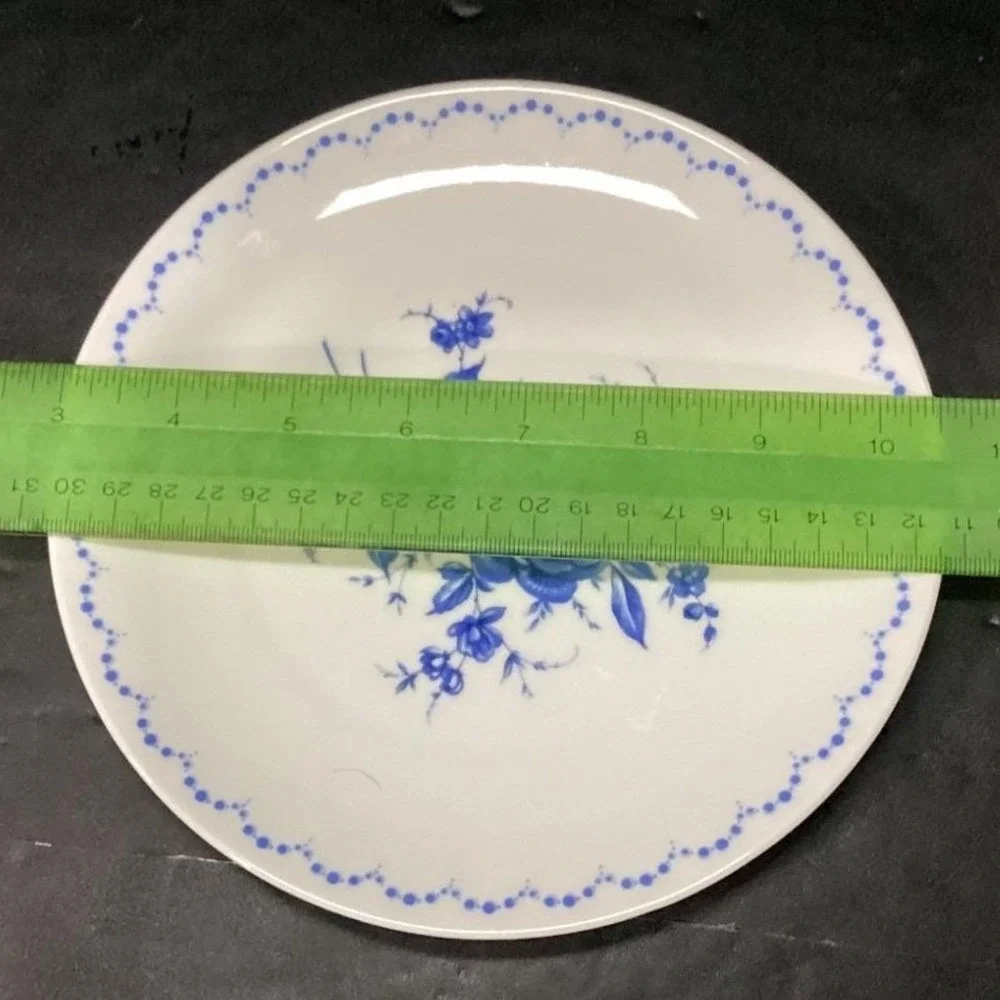 Alboth & Kaiser Bavaria Salad Plates,‎ Set of 2, Vintage Blue Floral Tableware